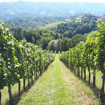 Σπίτι διακοπών Maxl *