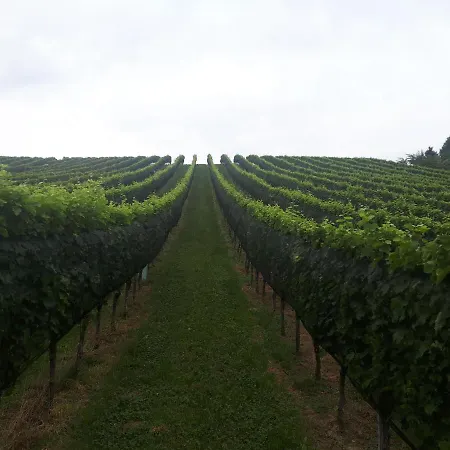 Maxl Σπίτι διακοπών Maltschach