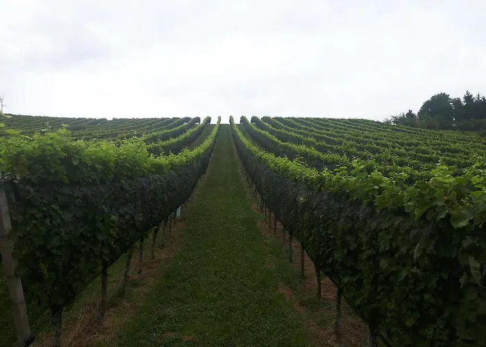 Maxl Tatil Evi Maltschach